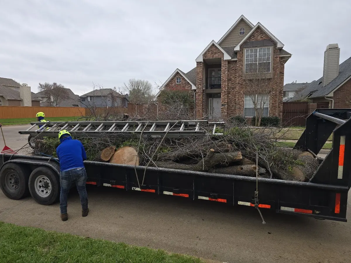 Expert Lot Clearing with proper safety equipment in Rockbridge